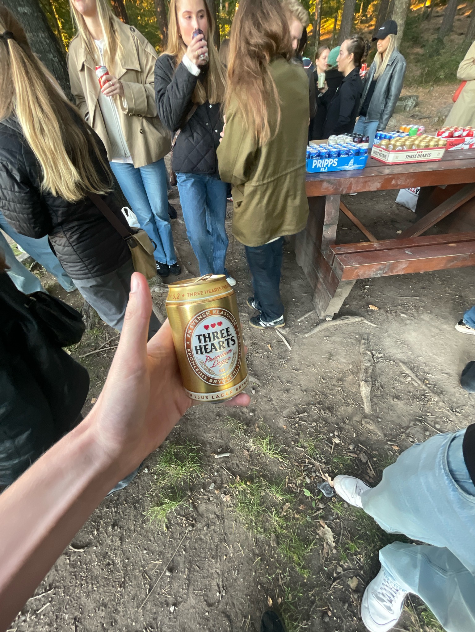 Three Hearts Premium Lager, Sweden