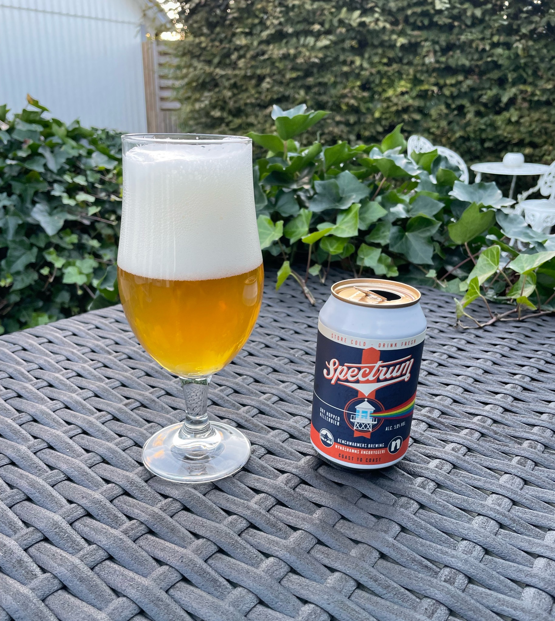 Spectrum, Benchwarmers Brewing Co