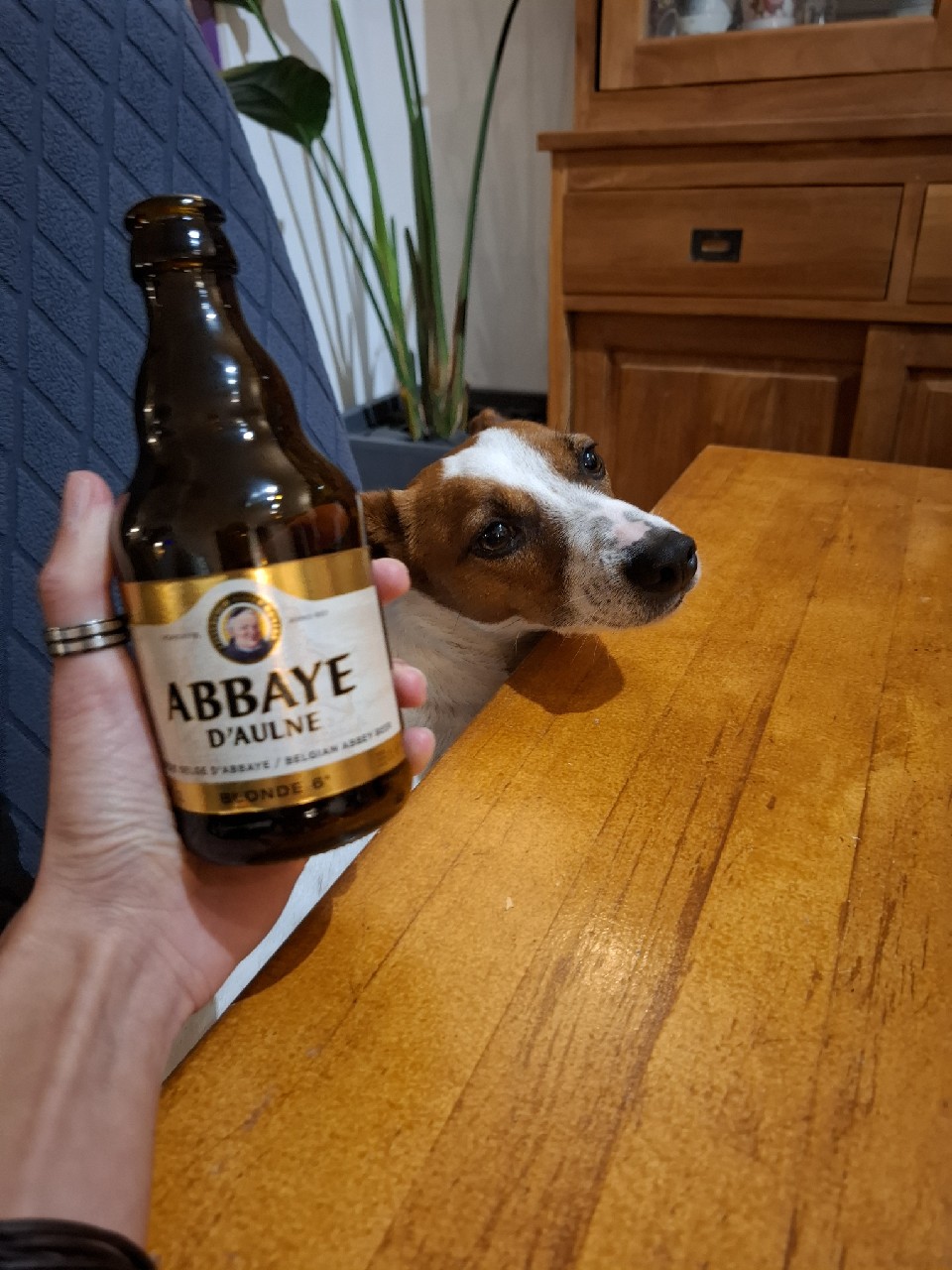 Abbaye d'Aulne Blonde, Brasserie de l'Abbaye d'Aulne