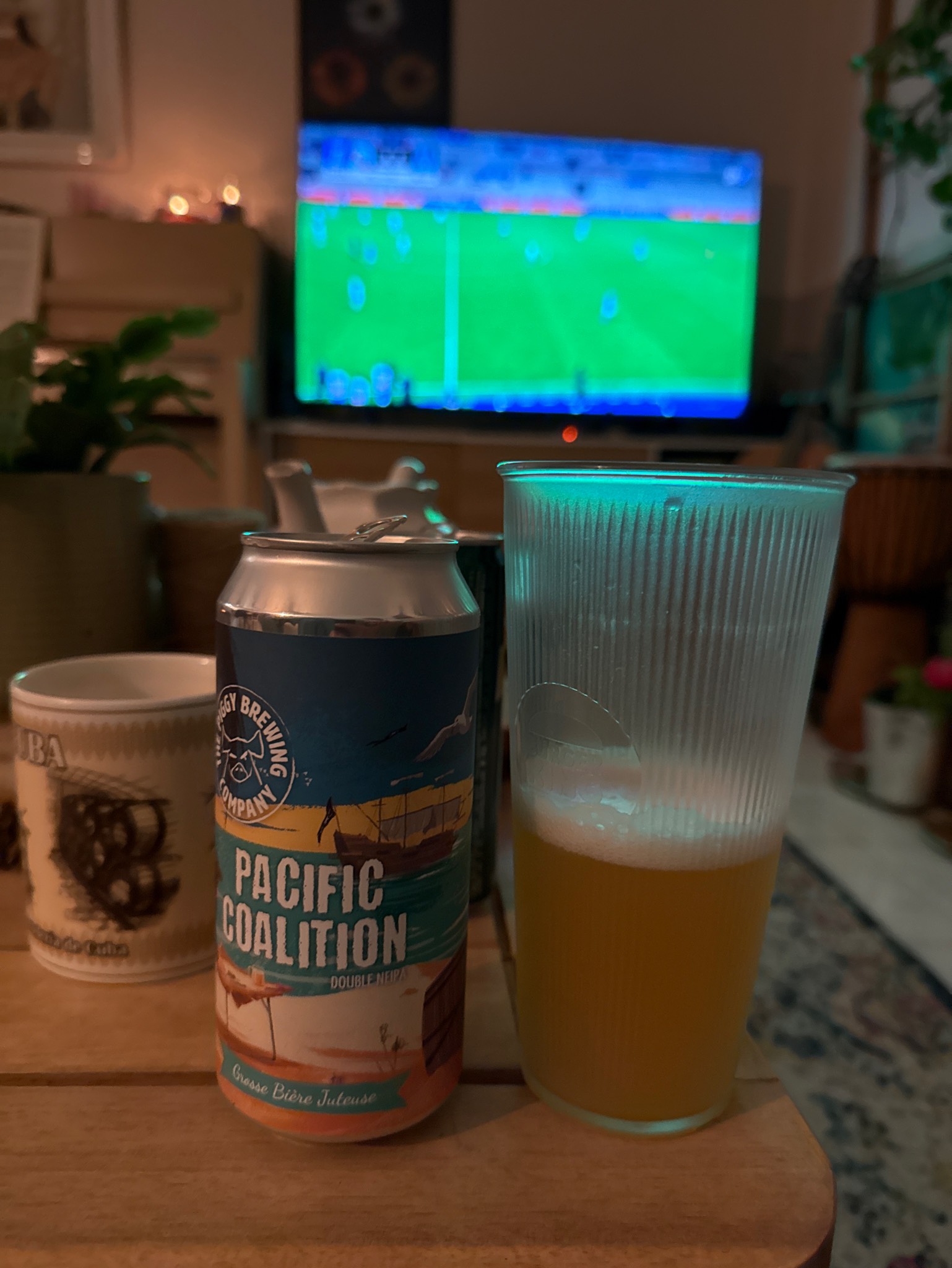 Pacific Coalition, France