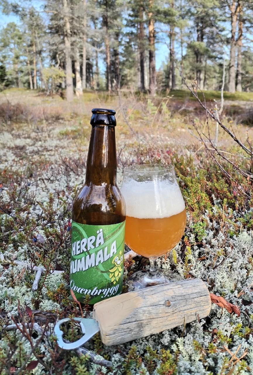 Herrä Hummala, Qvænbrygg