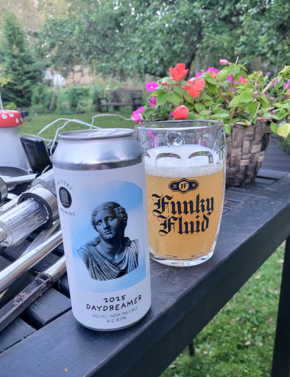 Daydreamer 2025, Finland