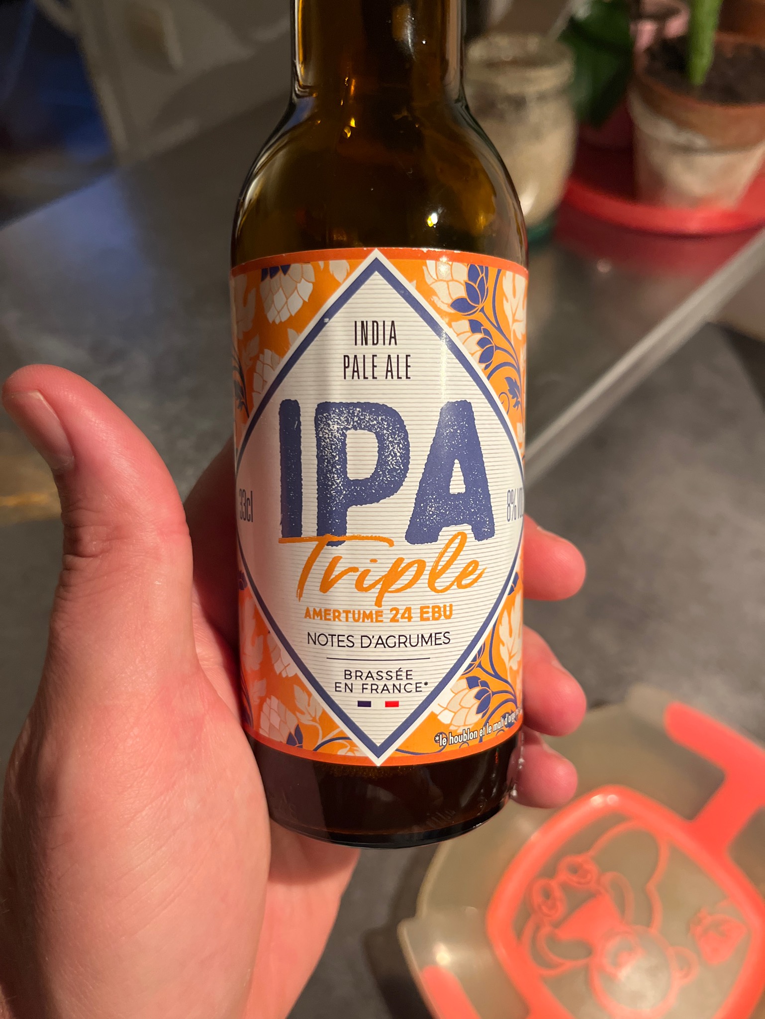 Kingsbräu IPA Triple, France