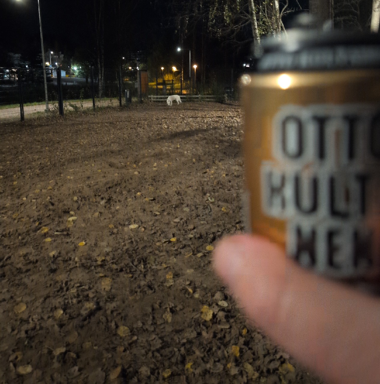 Otto Virtanen, Finland