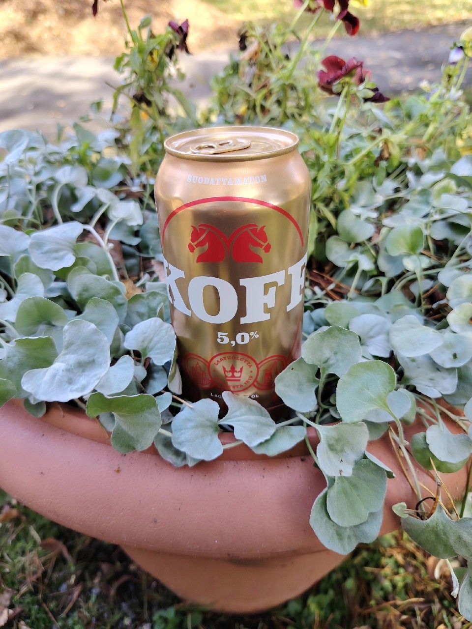 KOFF Suodattamaton, Finland