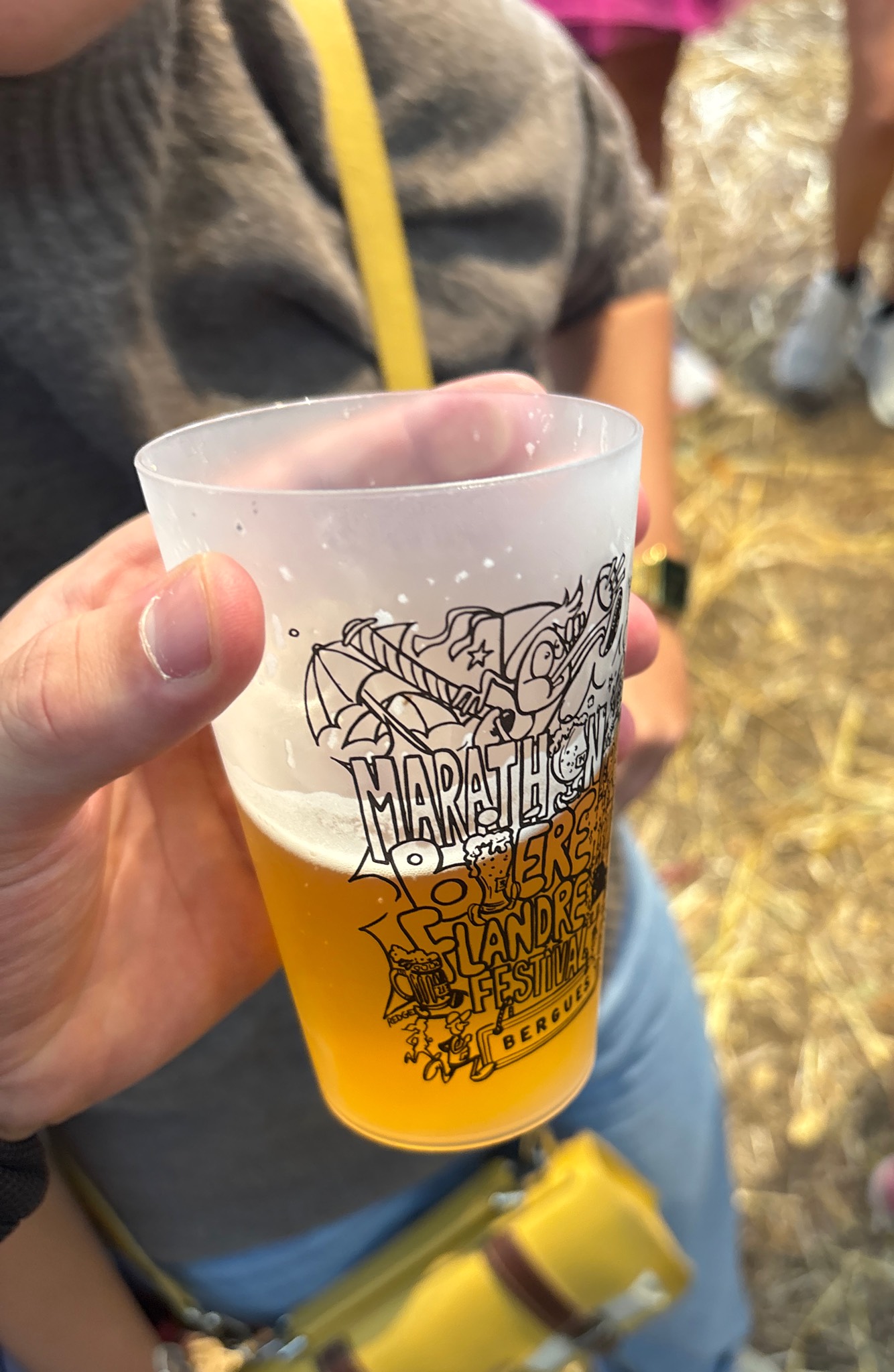 Moulins D'Ascq Triple, France