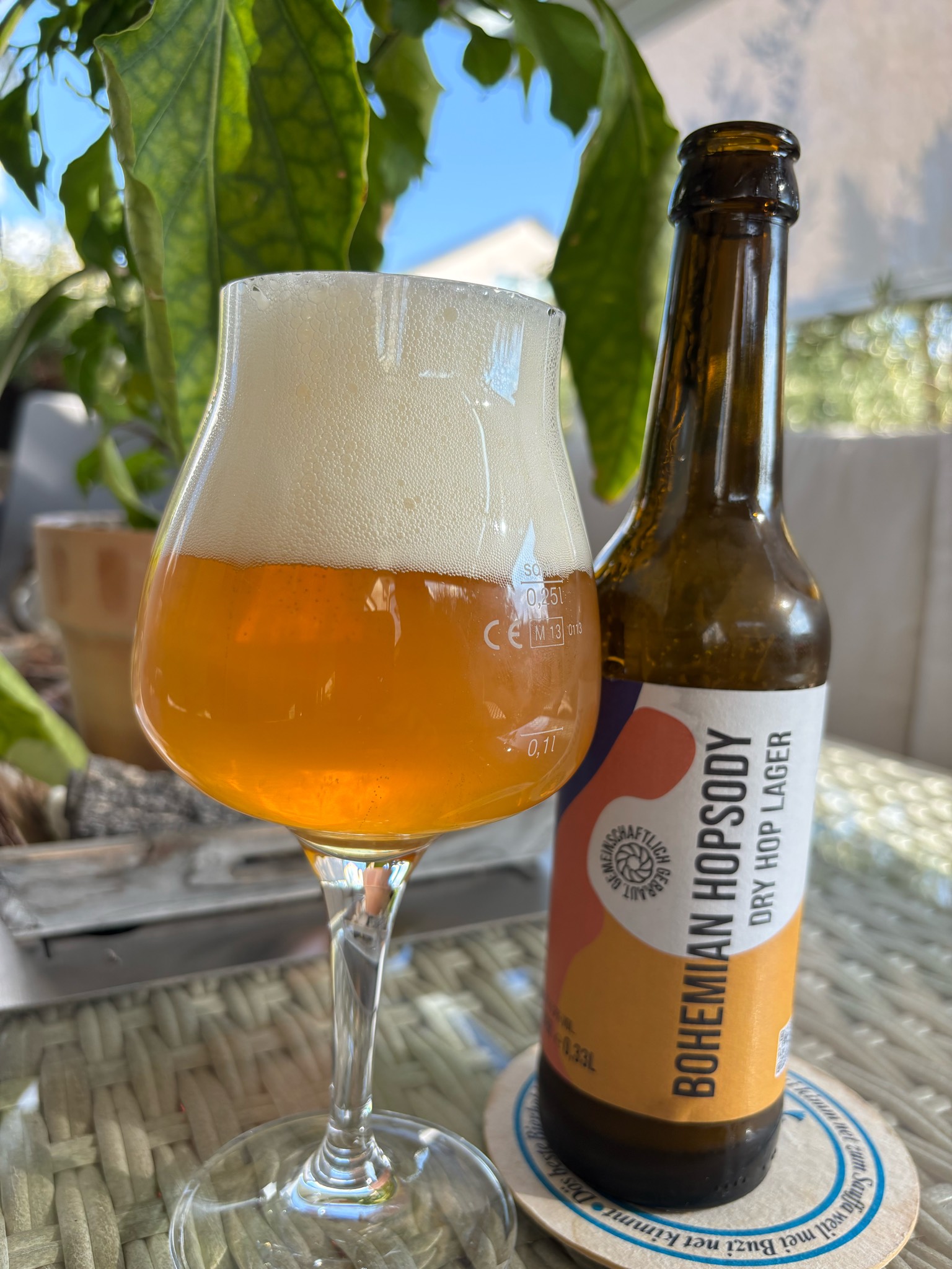 Bohemian Hopsody Lager / HHBW '25, Wildwuchs Brauwerk Hamburg