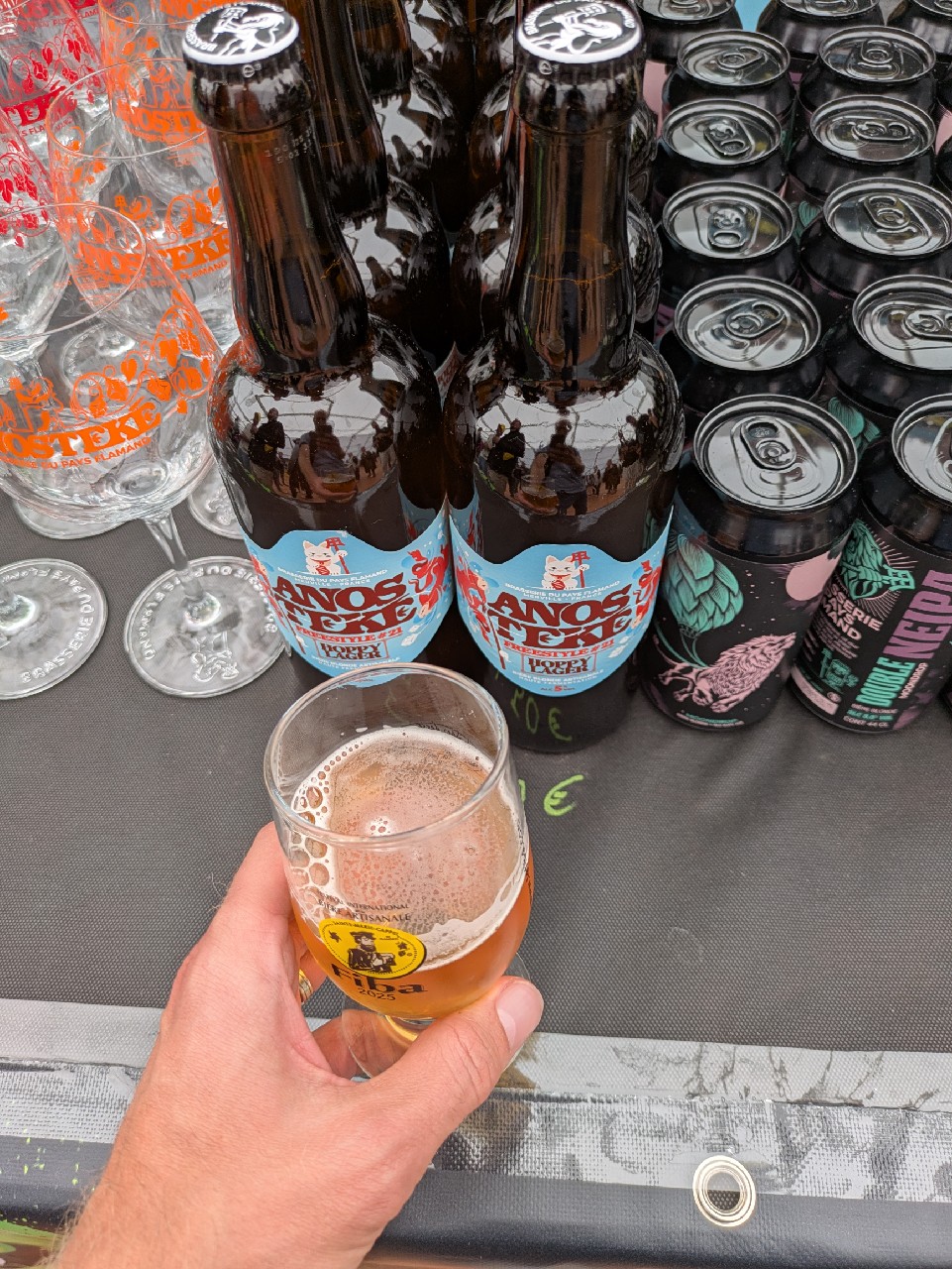 Anosteké Freestyle #21, France