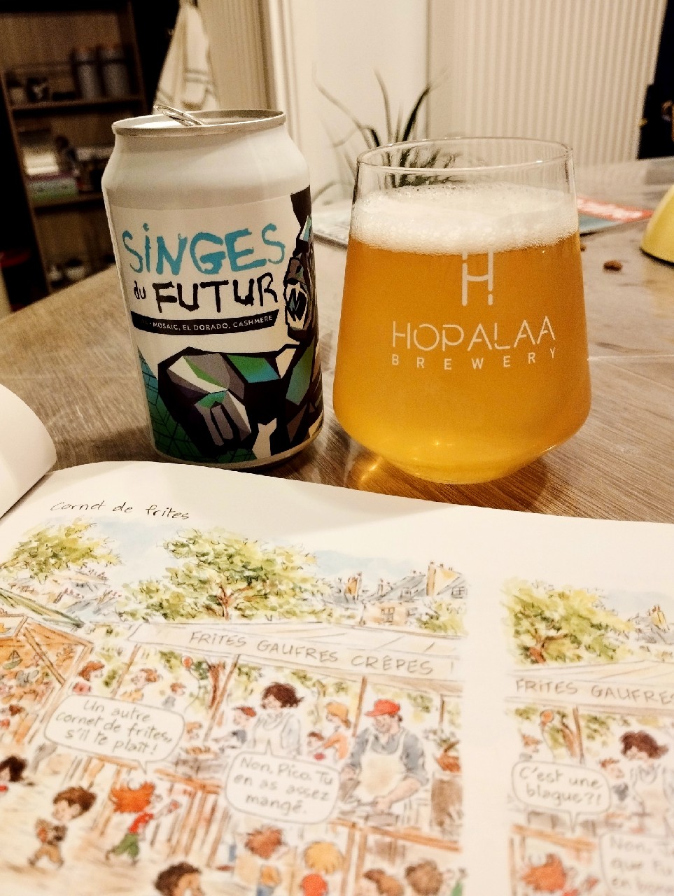 Singes Du Futur, France