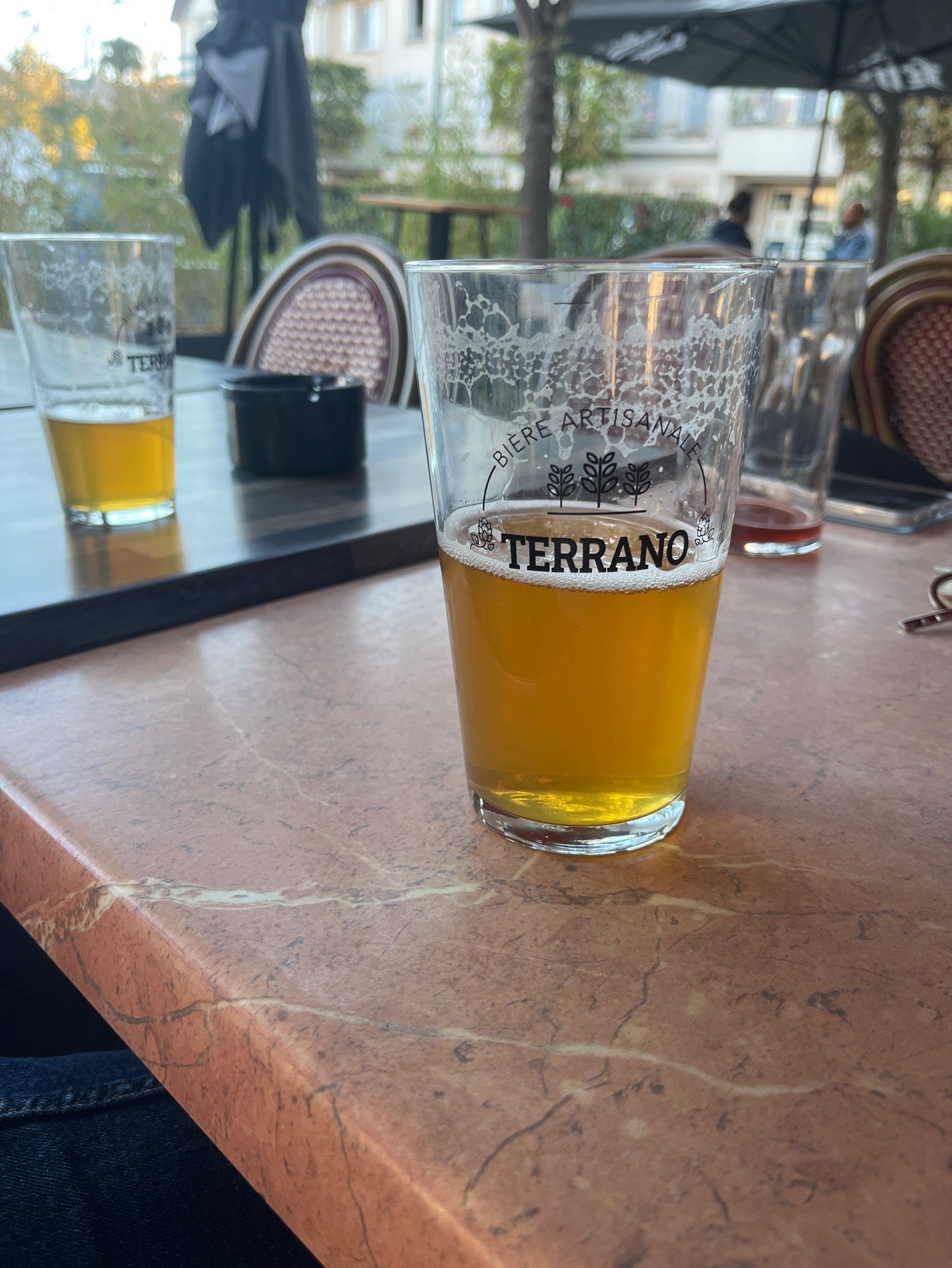 Terrano Blonde, France