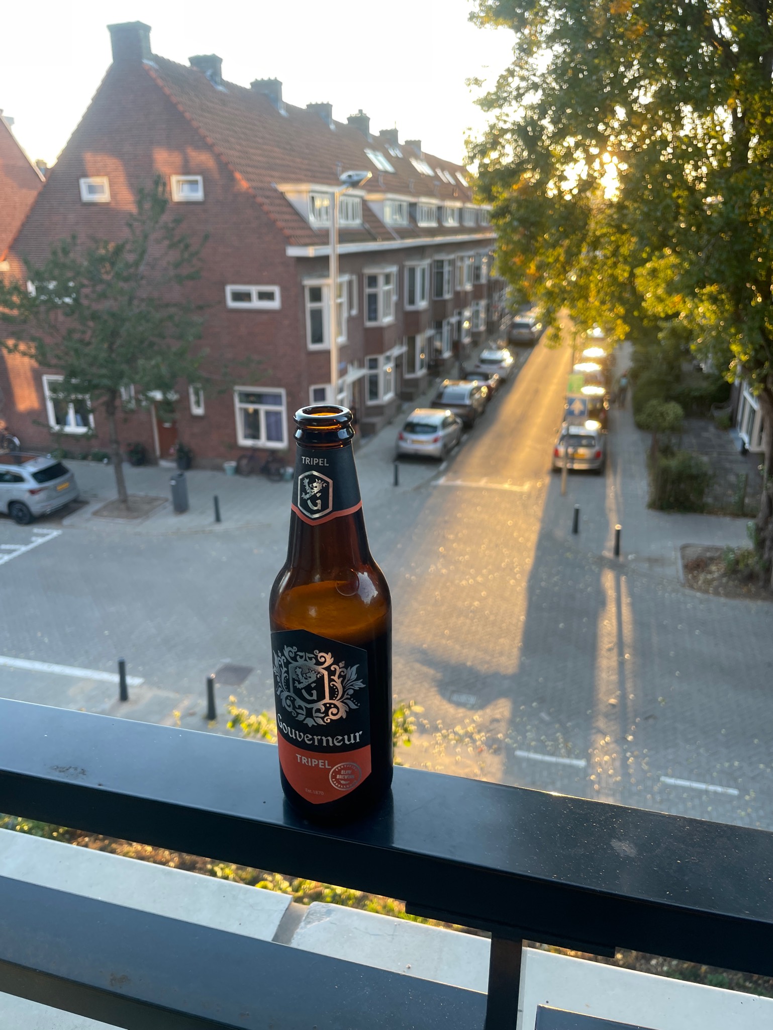Gouverneur Tripel, Netherlands