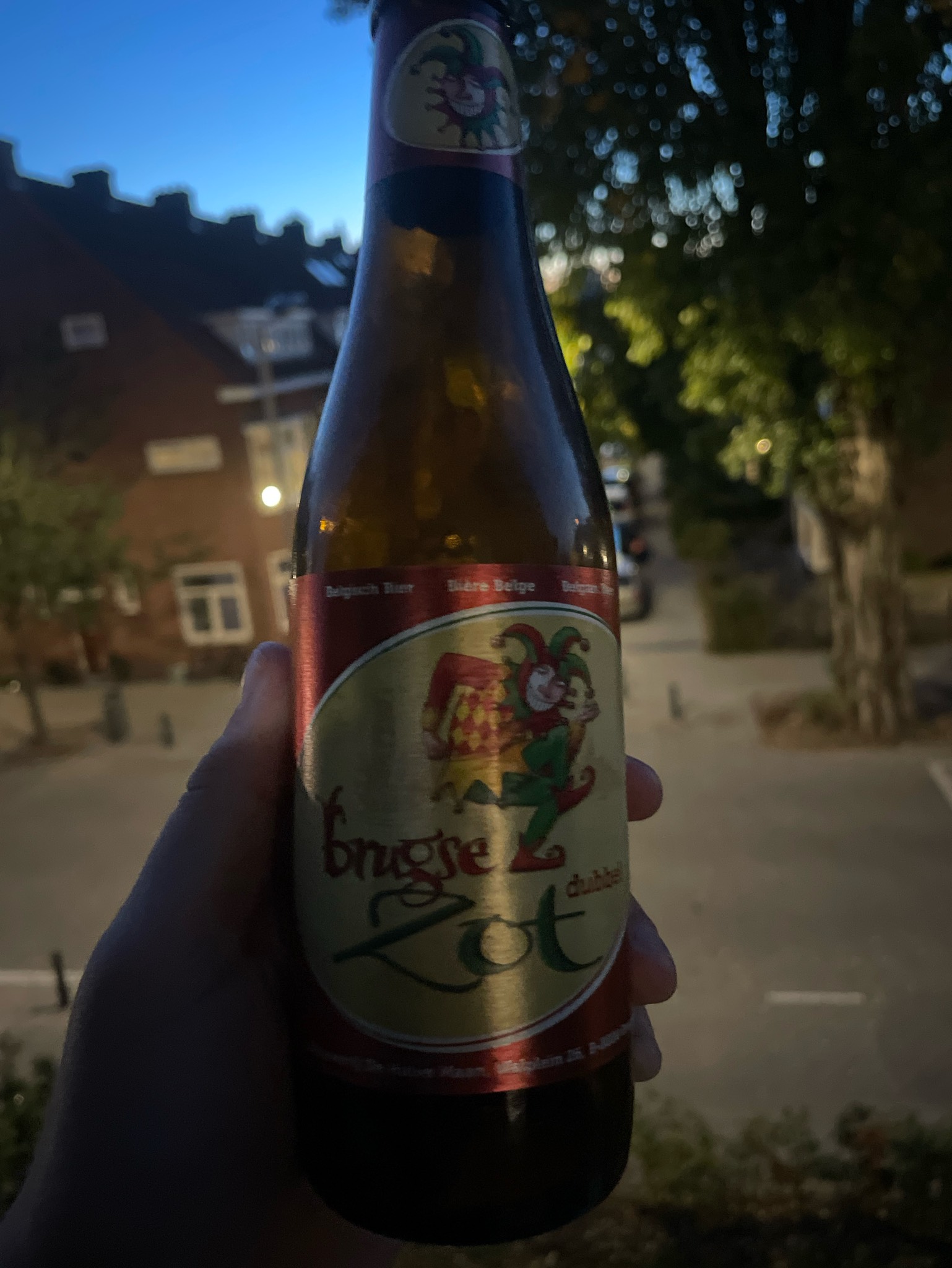 Brugse Zot Dubbel, Belgium