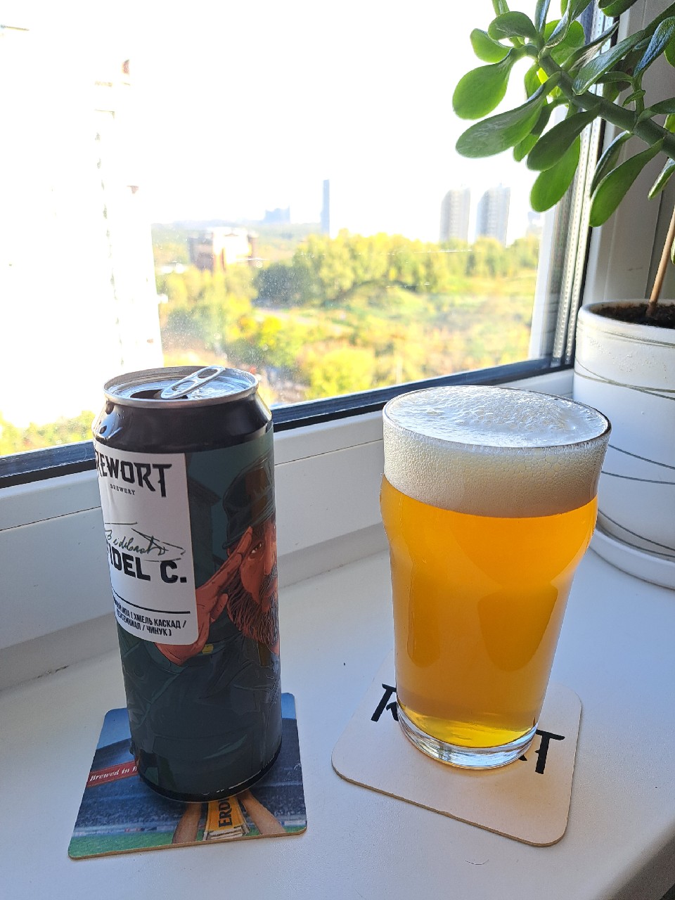 Fidel C., Rewort Brewery