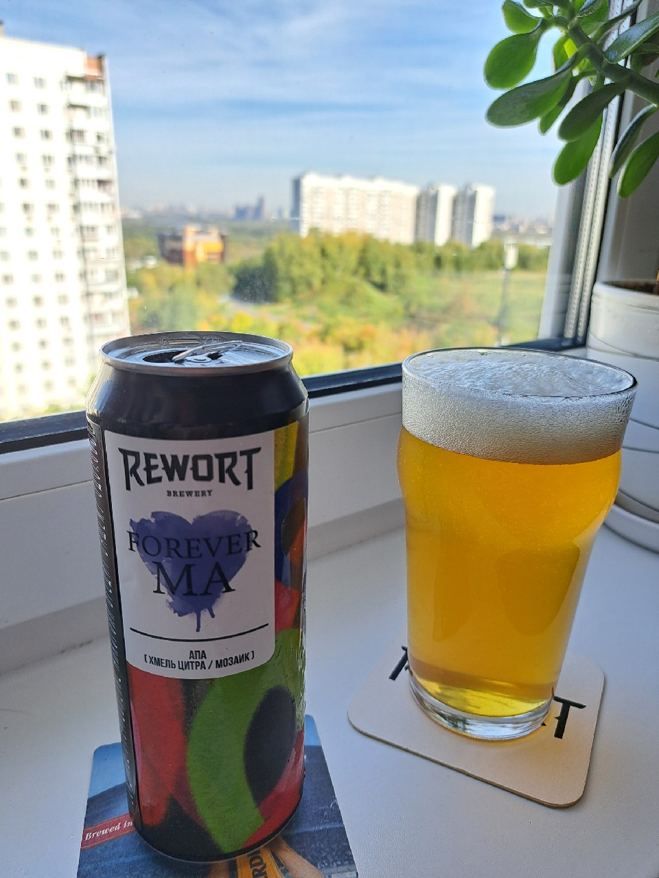 Forever MA, Rewort Brewery