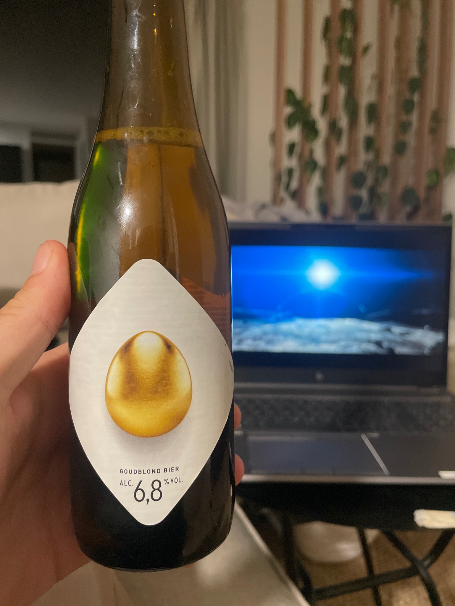 't Gouden IJ, Netherlands