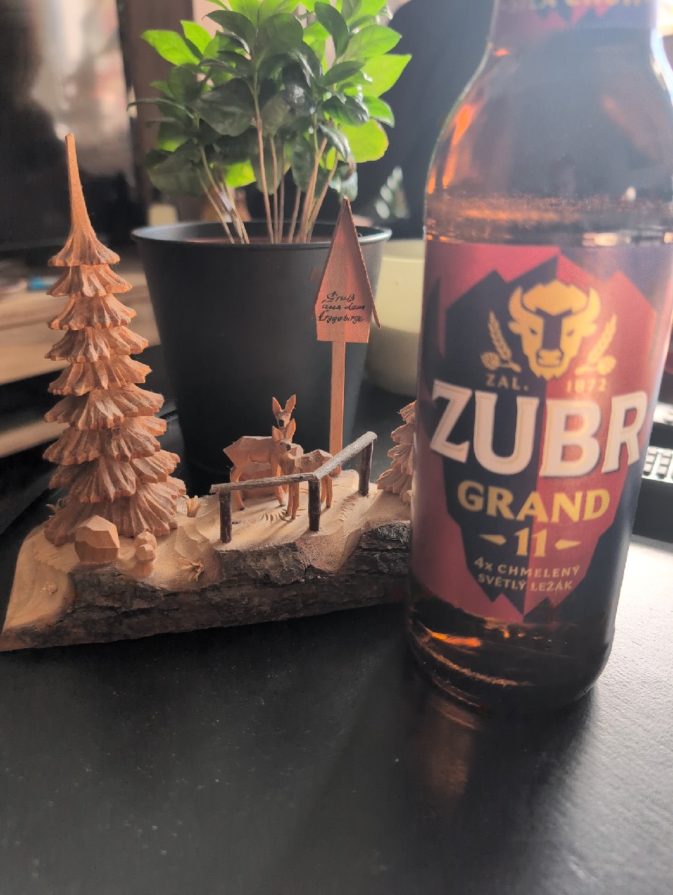 Zubr Grand 11, Czech Republic