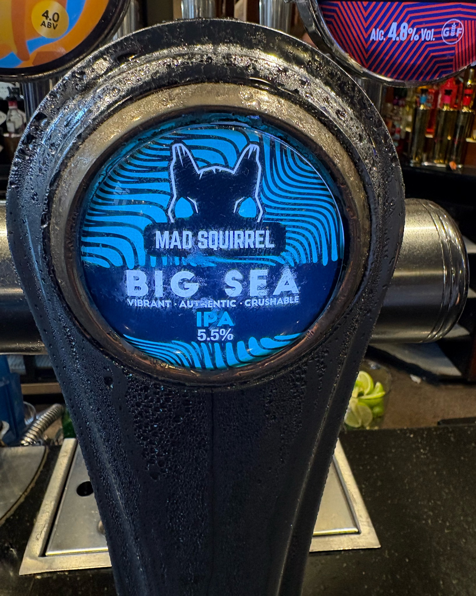 Big Sea, Mad Squirrel Brewing