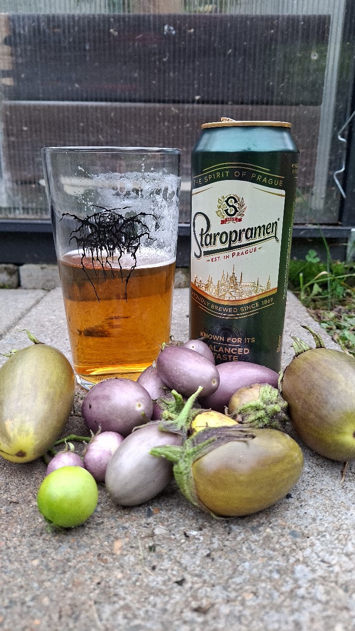 Staropramen / Staropramen Premium / Ležák, Pivovary Staropramen (MolsonCoors)