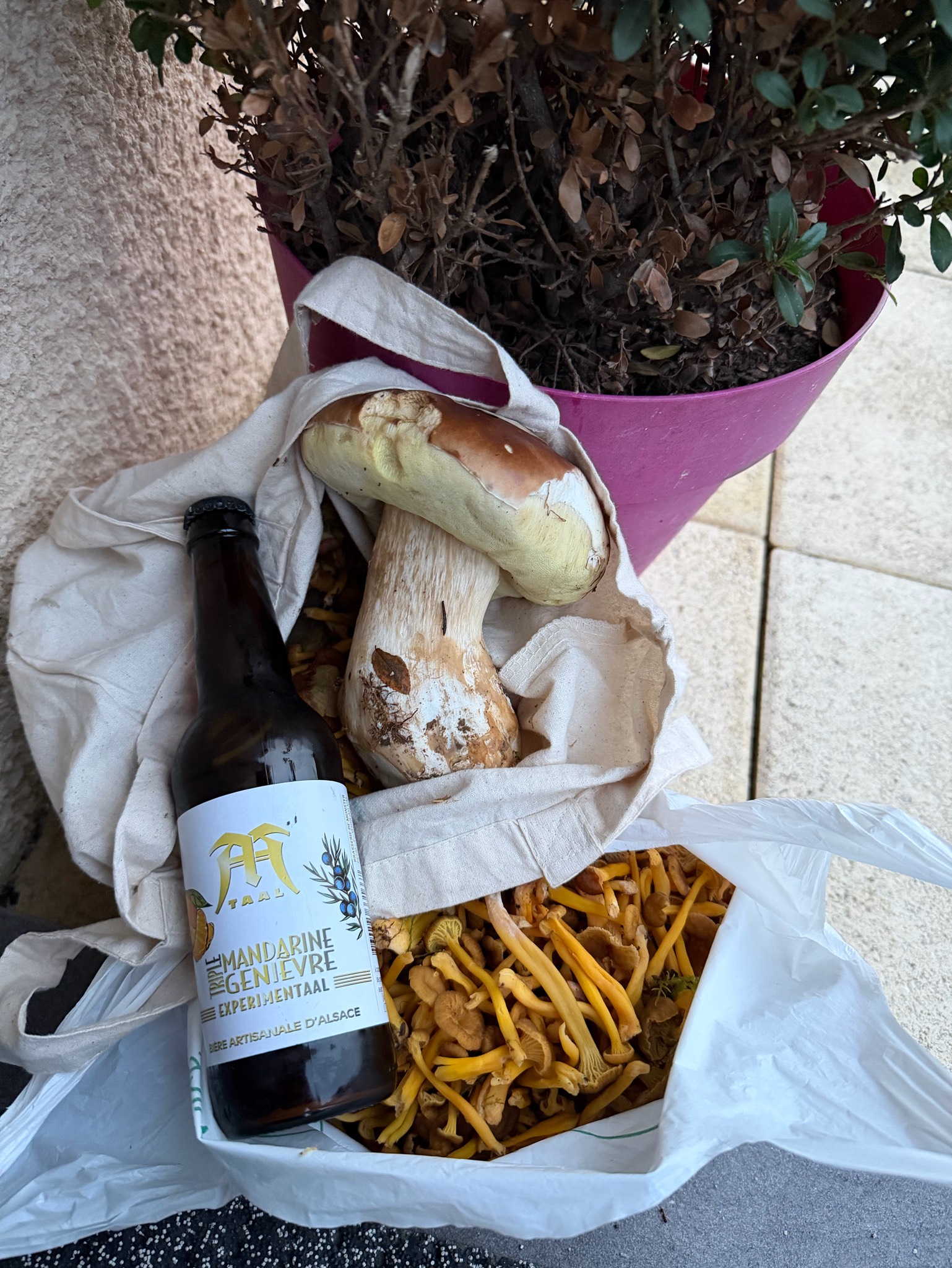 Experimentaal Triple Mandarine Genièvre, Brasserie Taal