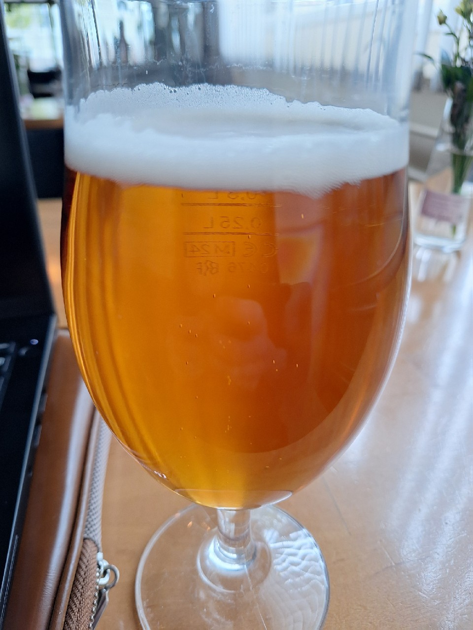 Staropramen / Staropramen Premium / Ležák, Pivovary Staropramen (MolsonCoors)