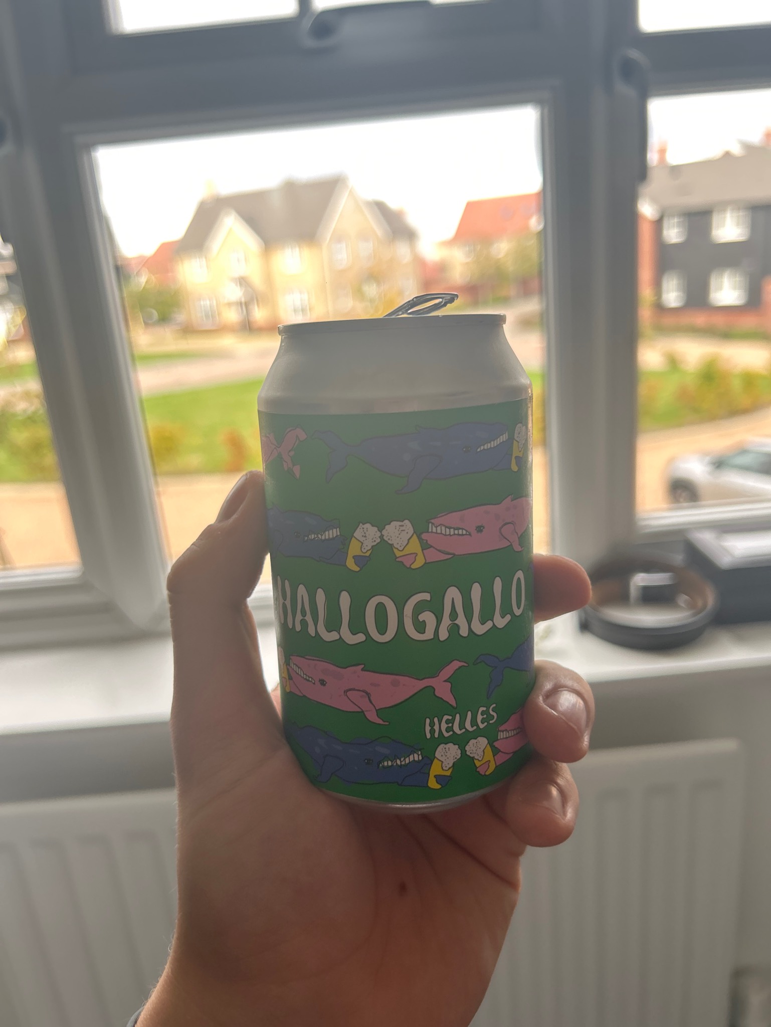 Hallogallo, Free Assembly