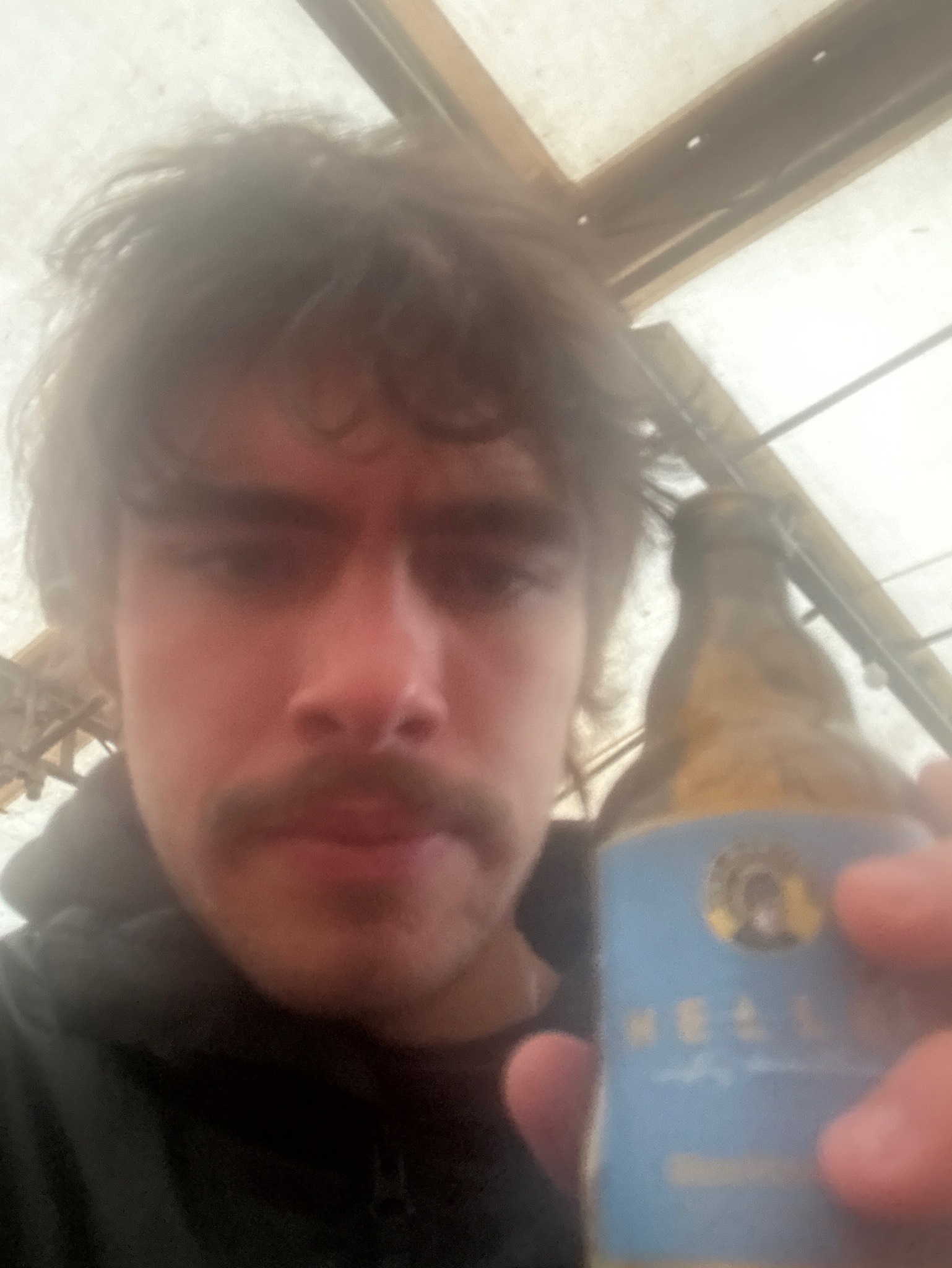 Martinsbräu Helles, Martinsbräu