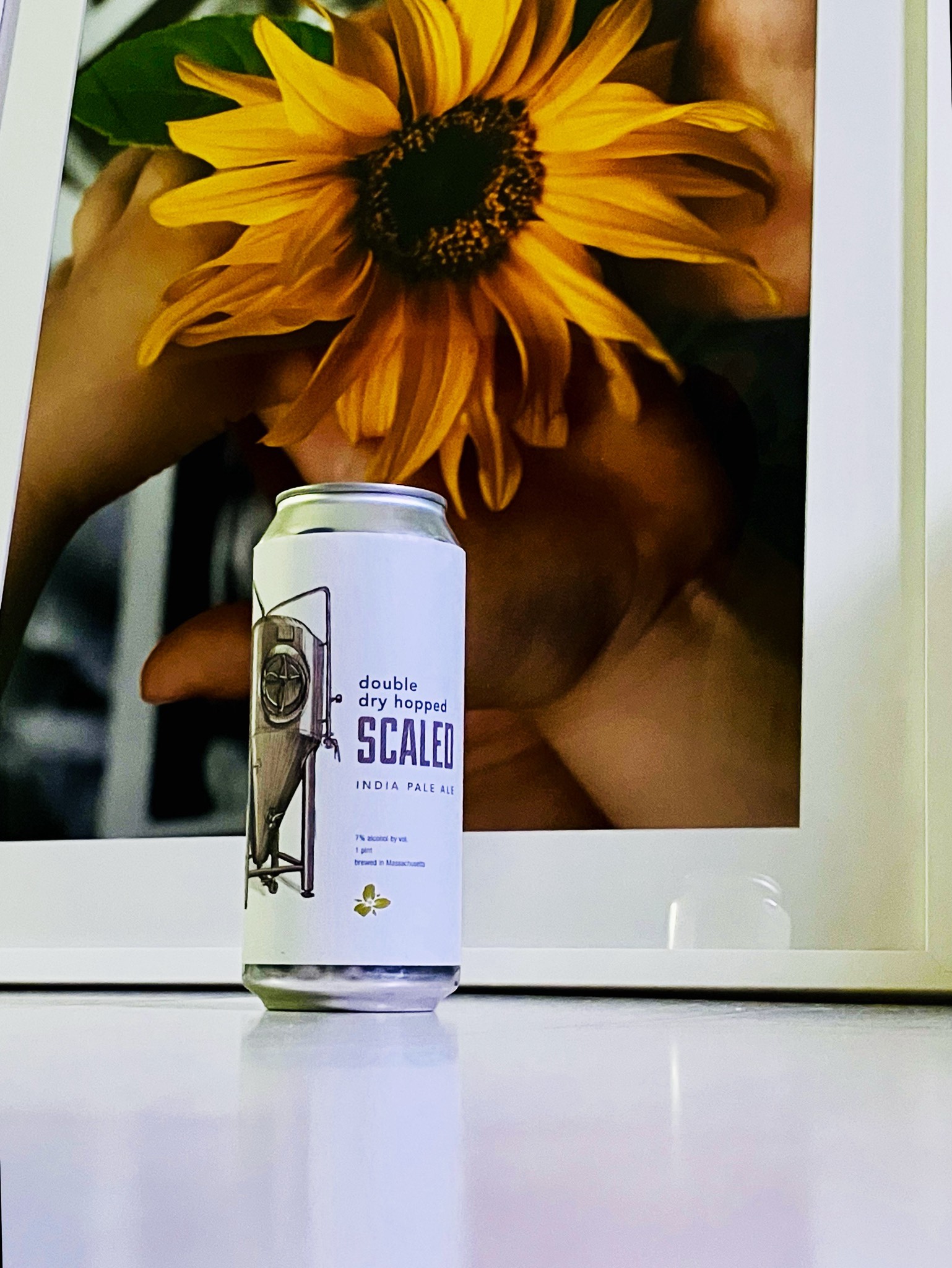 Double Dry Hopped Scaled, Trillium Brewing Company
