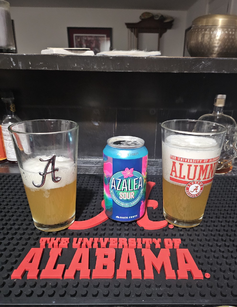 Azalea Sour, Back Forty Beer Company