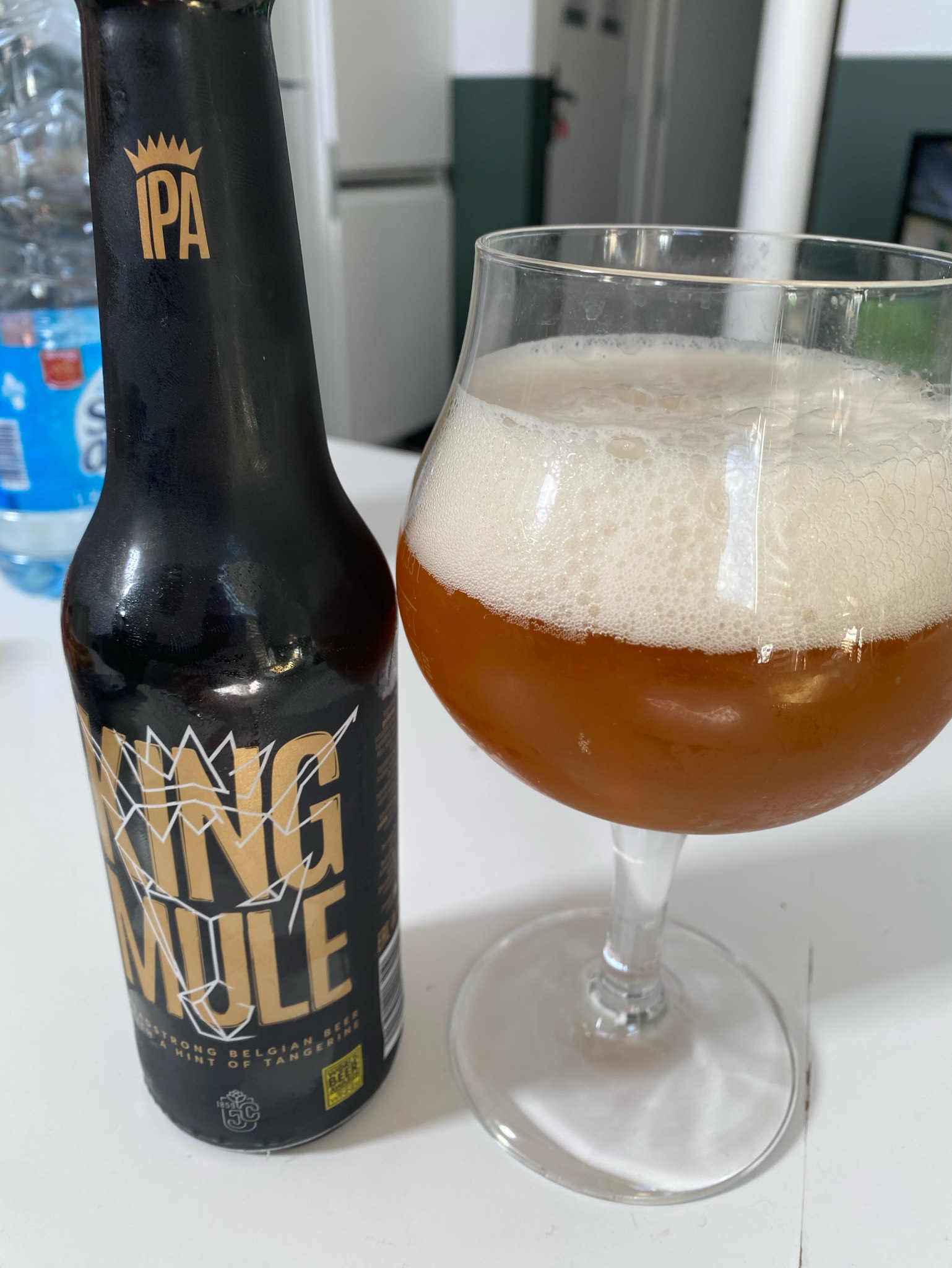 King Mule, Belgium