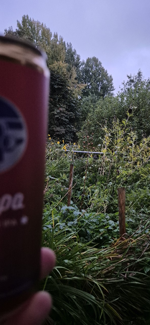American IPA, Panimo Hoppa