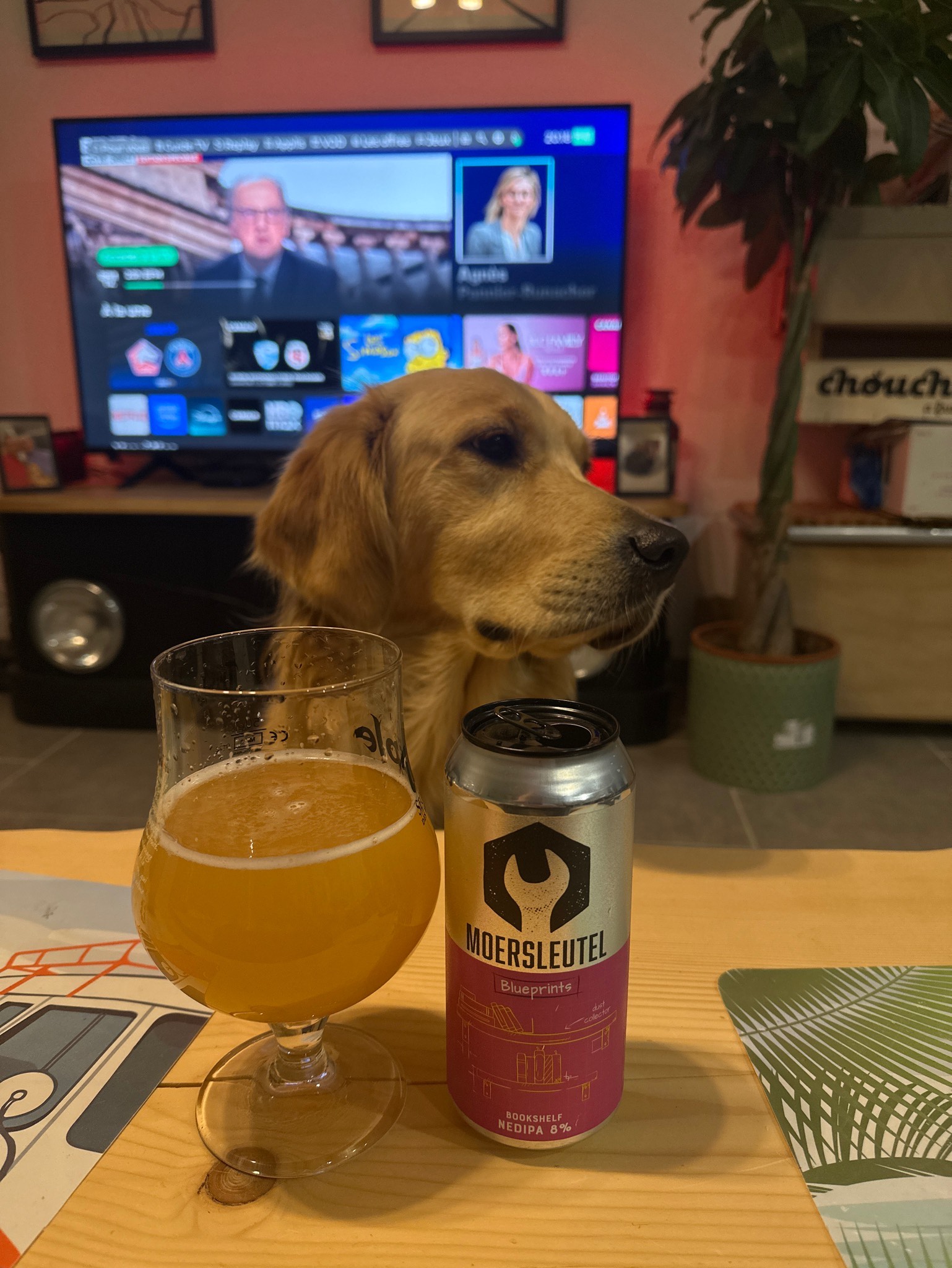 Bookshelf, Netherlands