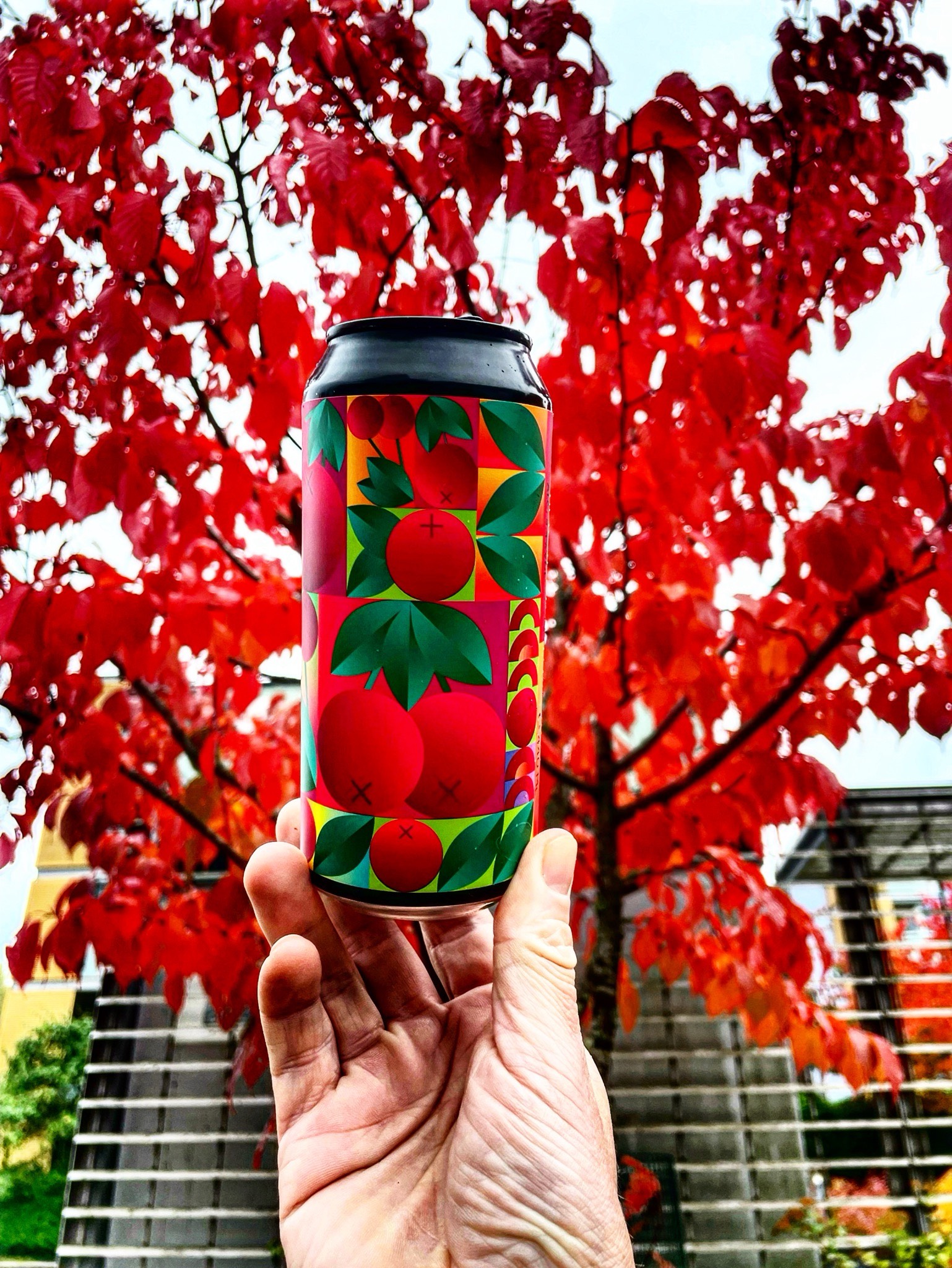 Sour series : cherries on acid, Hungary