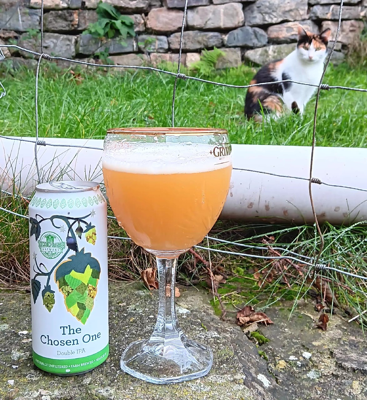 the chosen one, Tilted Barn Brewery