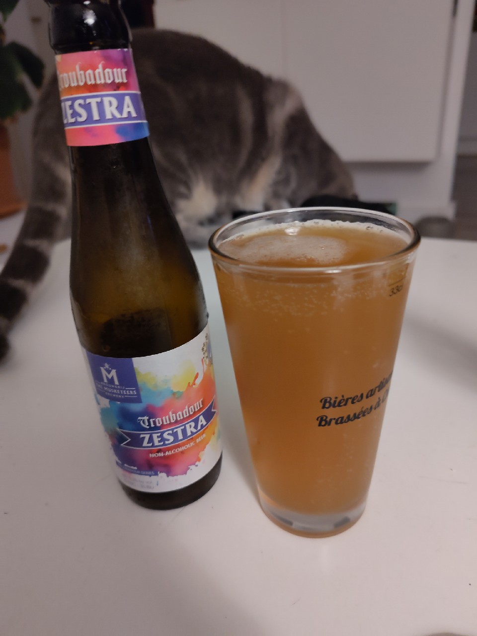 Troubadour Zestra, Belgium