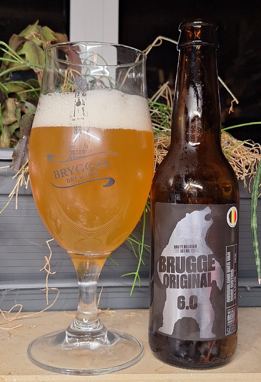 Beer Van Brugge 6 / Brugge Original 6.0, Beer Van Brugge