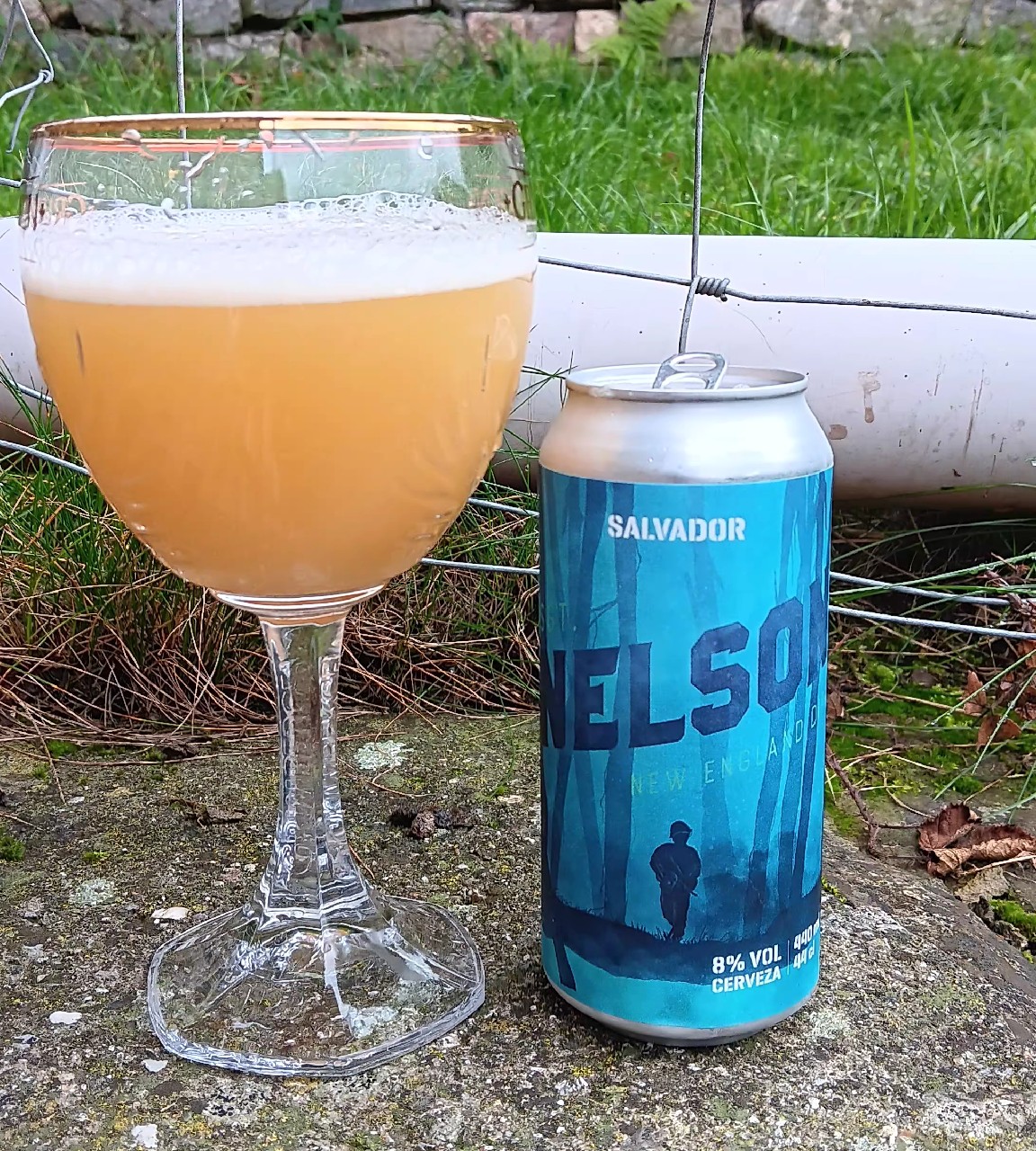 sgt nelson, Salvador Brewing Co
