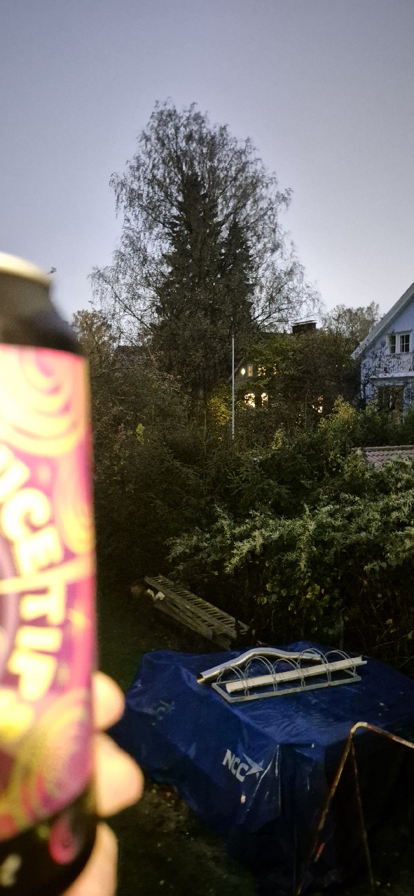 Trippin' On Spruce Tips, Finland