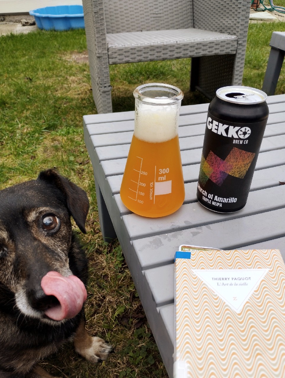 Church of Amarillo, Gekko Brewing Company