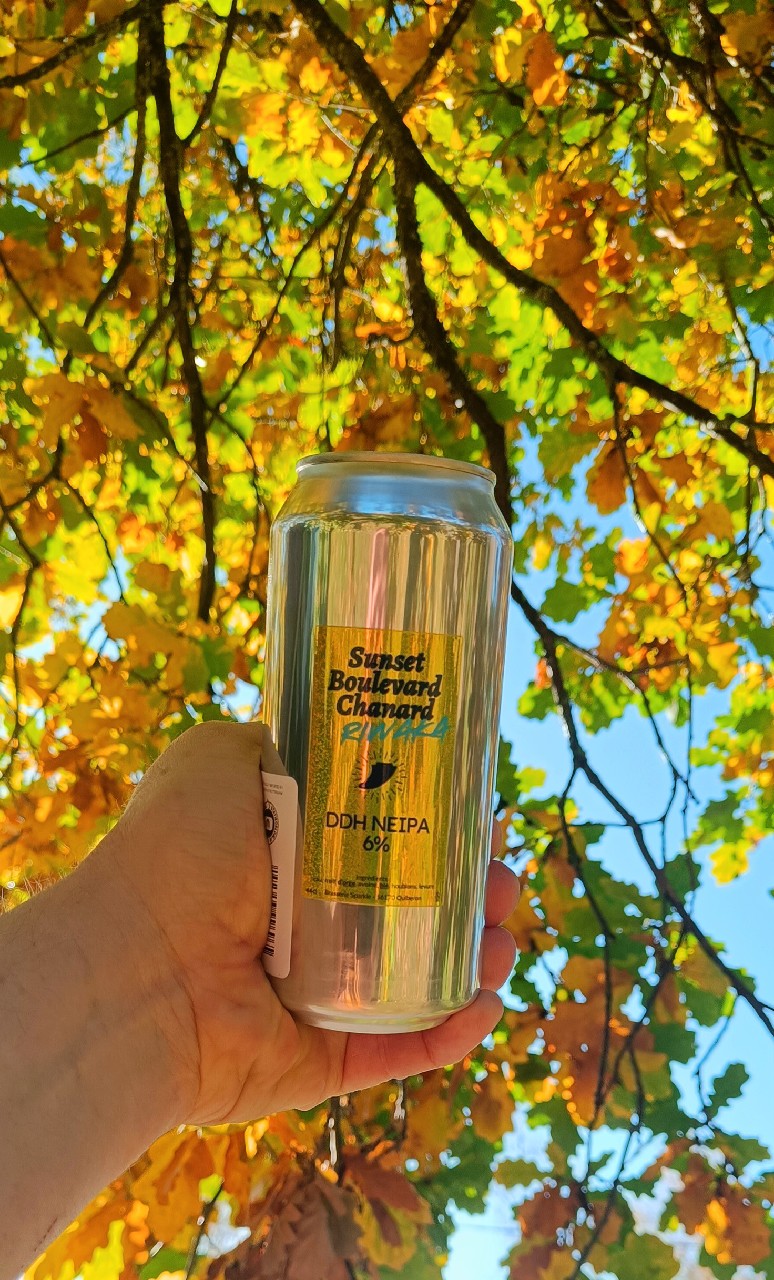 Sunset Boulevard Chanard Riwaka, France