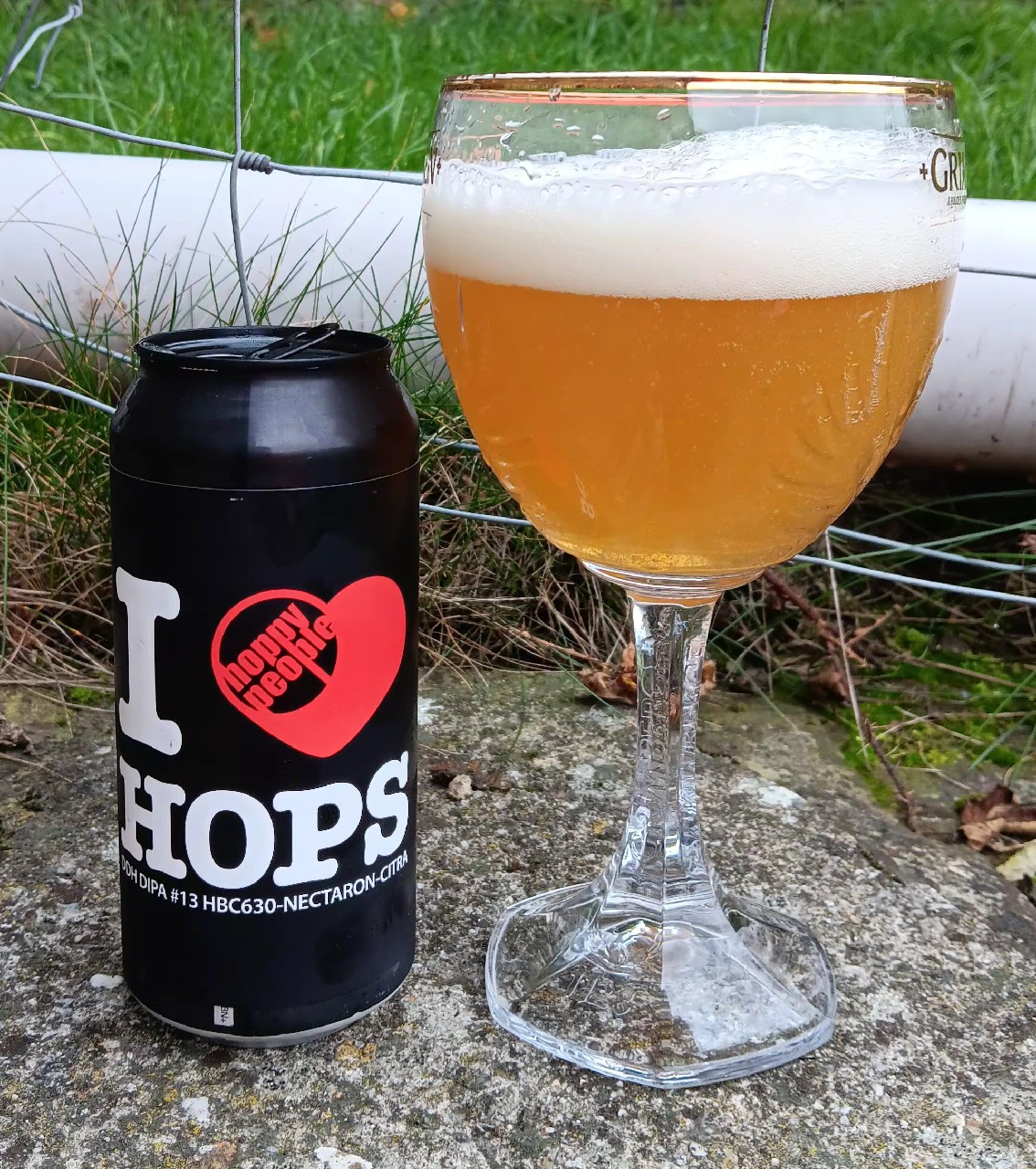 I Love Hops #6, Hoppy People