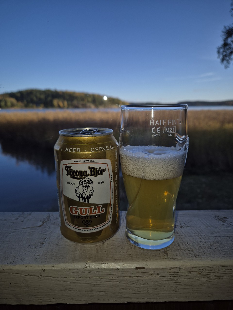 Gull Export, Faroe Islands