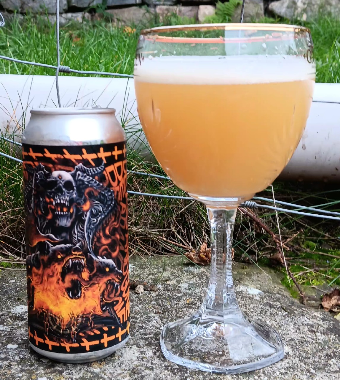 Dead + Gone (Ghost DEAD + GONE), Adroit Theory Brewing Company