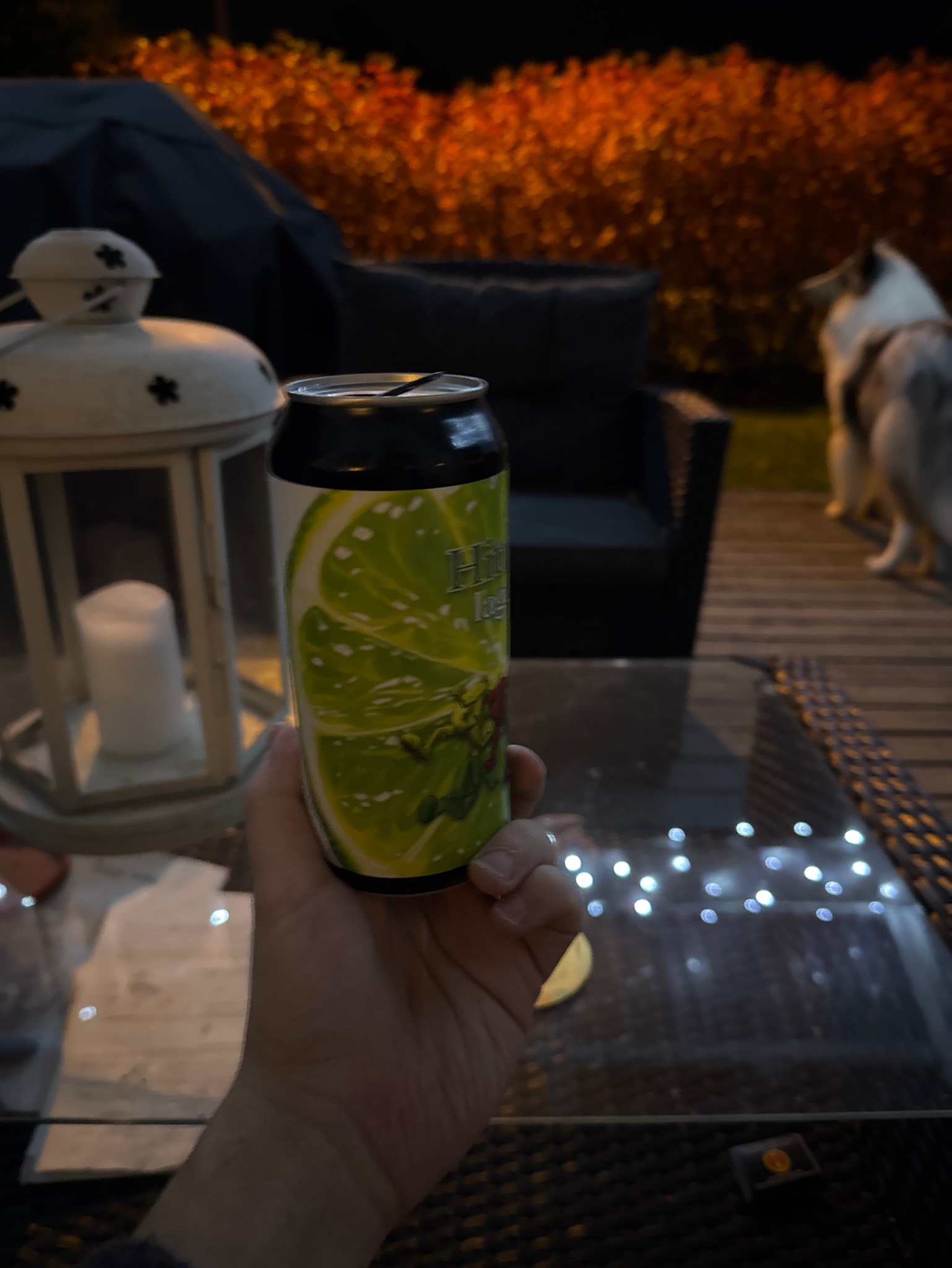 Hittaa-lager, Finland