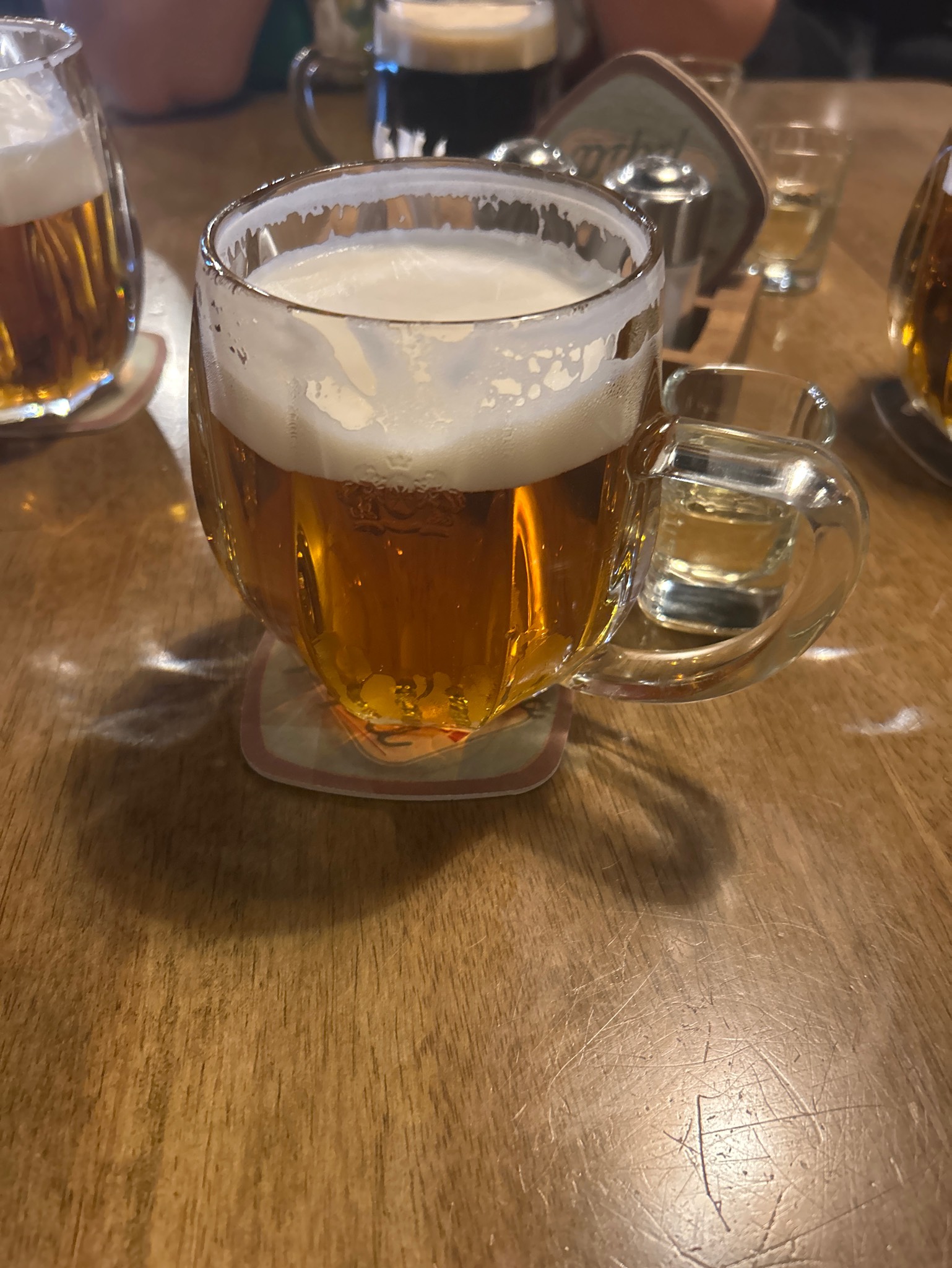 Bernard Bohemian Lager / Světlý Ležák 12°, Czech Republic