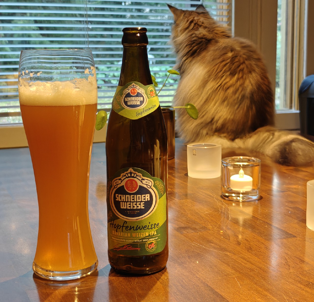 Schneider Weisse Tap 5 Hopfenweisse Weizendoppelbock, Germany