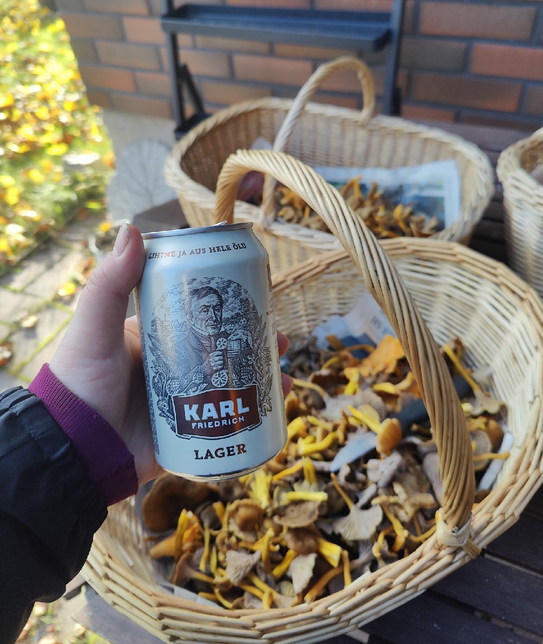 Karl Friedrich, Estonia