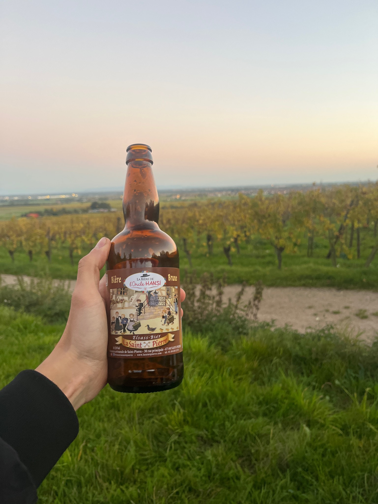 L'Oncle Hansi Brune, France