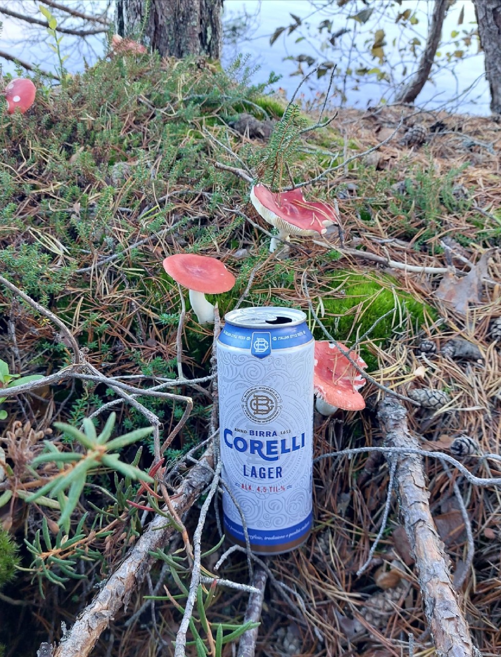 Birra Corelli Lager, Spain