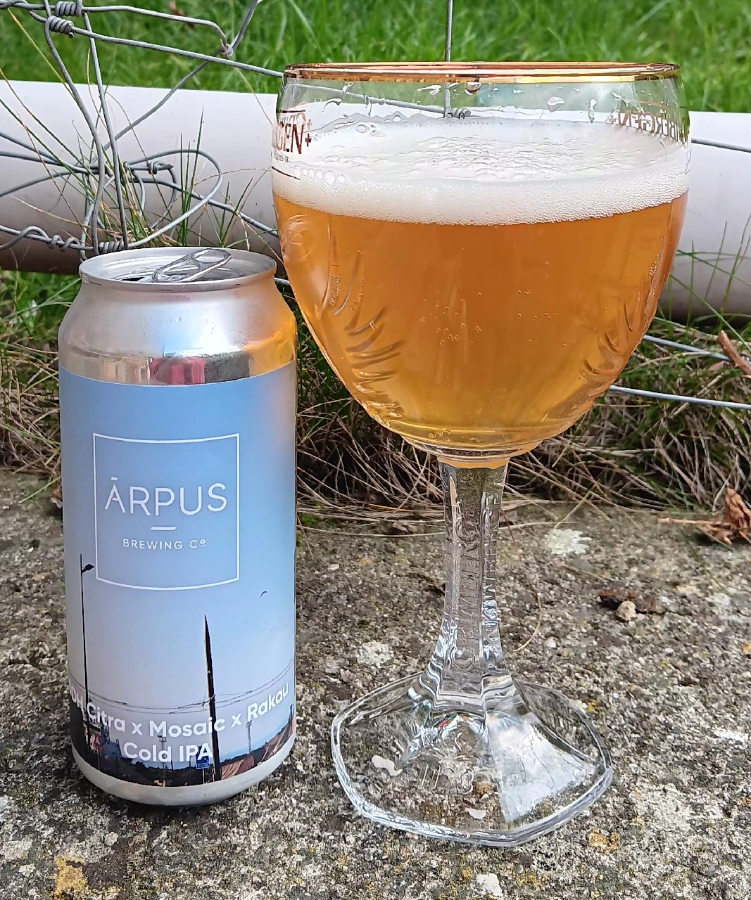 ddh citra X Mosaic X Rakau cold IPA, Latvia