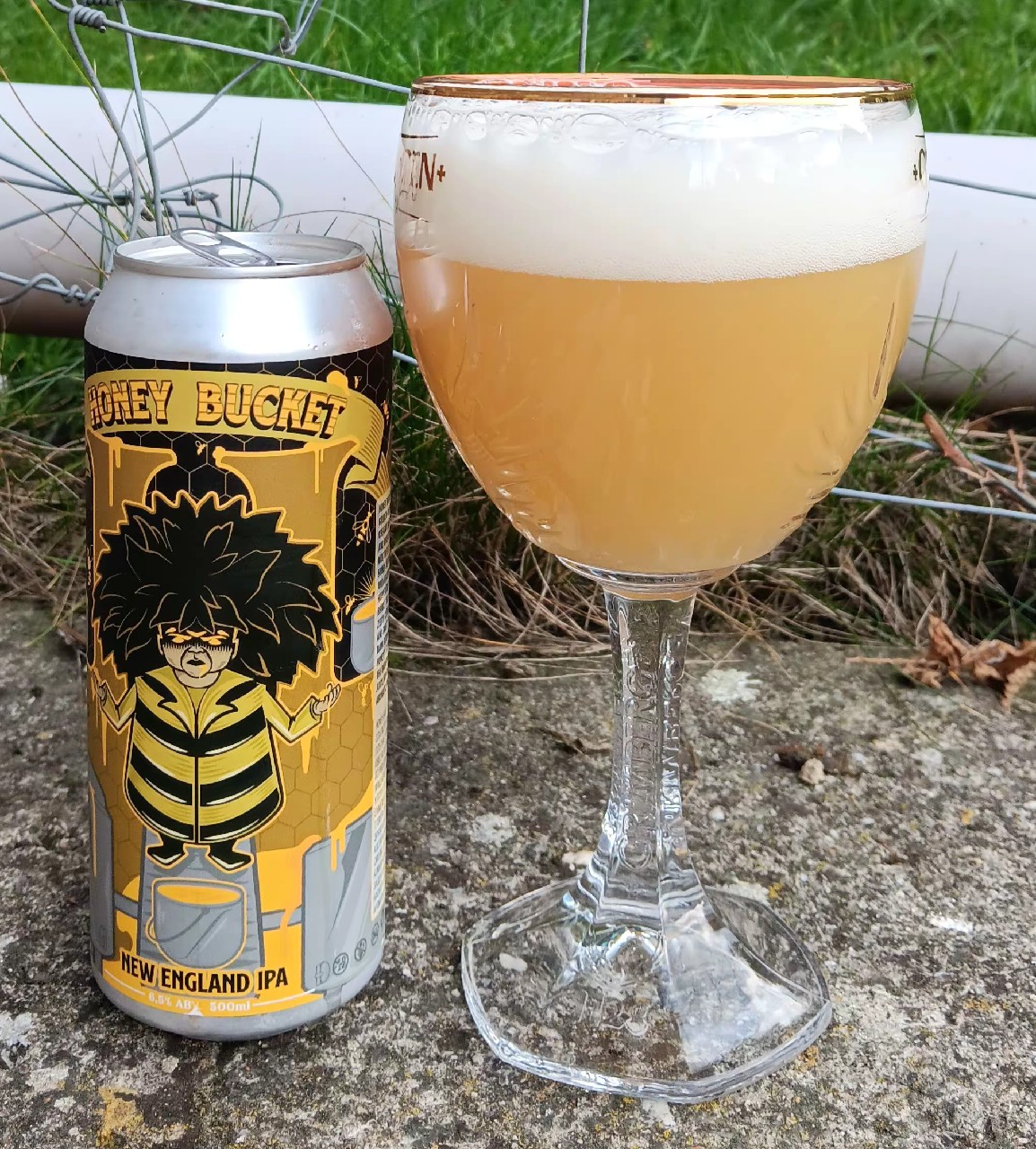 honey bucket, Bad Manners Gypsy Brewing Co